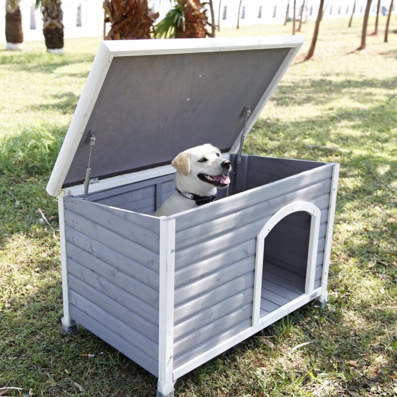 Dog House Outdoor