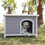 Dog House Outdoor