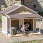 Antique Large Dog House W Roof Solid Wood Penthouse Kennels Crates Duplex 51x43x43