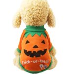 Dog Clothes Festival Christmas Day Uniform Funny Cat Pet Clothes Autumn And Winter Halloween Pumpkin Spider Bat Turned