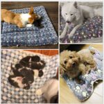 Thickened Pet Soft Fleece Pad Blanket Bed Mat For Puppy Dog Cat Sofa Cushion Home Washable Rug Keep Warm S/M/L/XL/XXL/XXXL