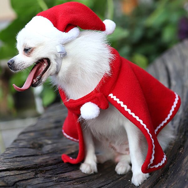 Pet Dog Cat Cap Cloak Set Christmas Party Clothes New Year Pet Red Costume Cloak Puppy Santa Hat