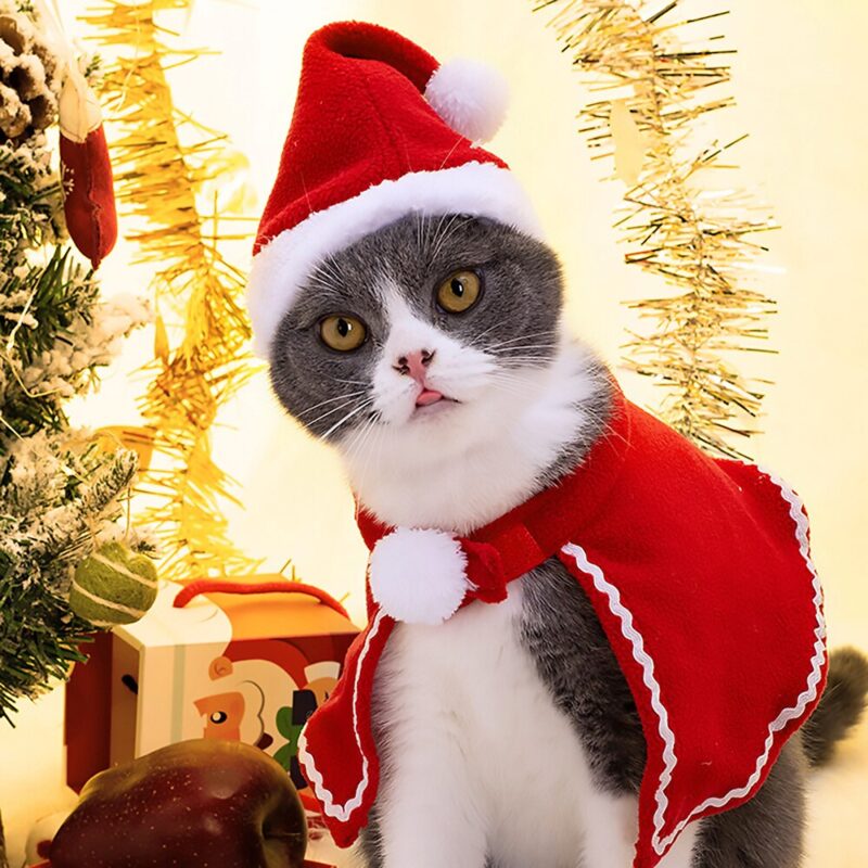 Pet Dog Cat Cap Cloak Set Christmas Party Clothes New Year Pet Red Costume Cloak Puppy Santa Hat