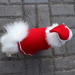 Pet Dog Cat Cap Cloak Set Christmas Party Clothes New Year Pet Red Costume Cloak Puppy Santa Hat